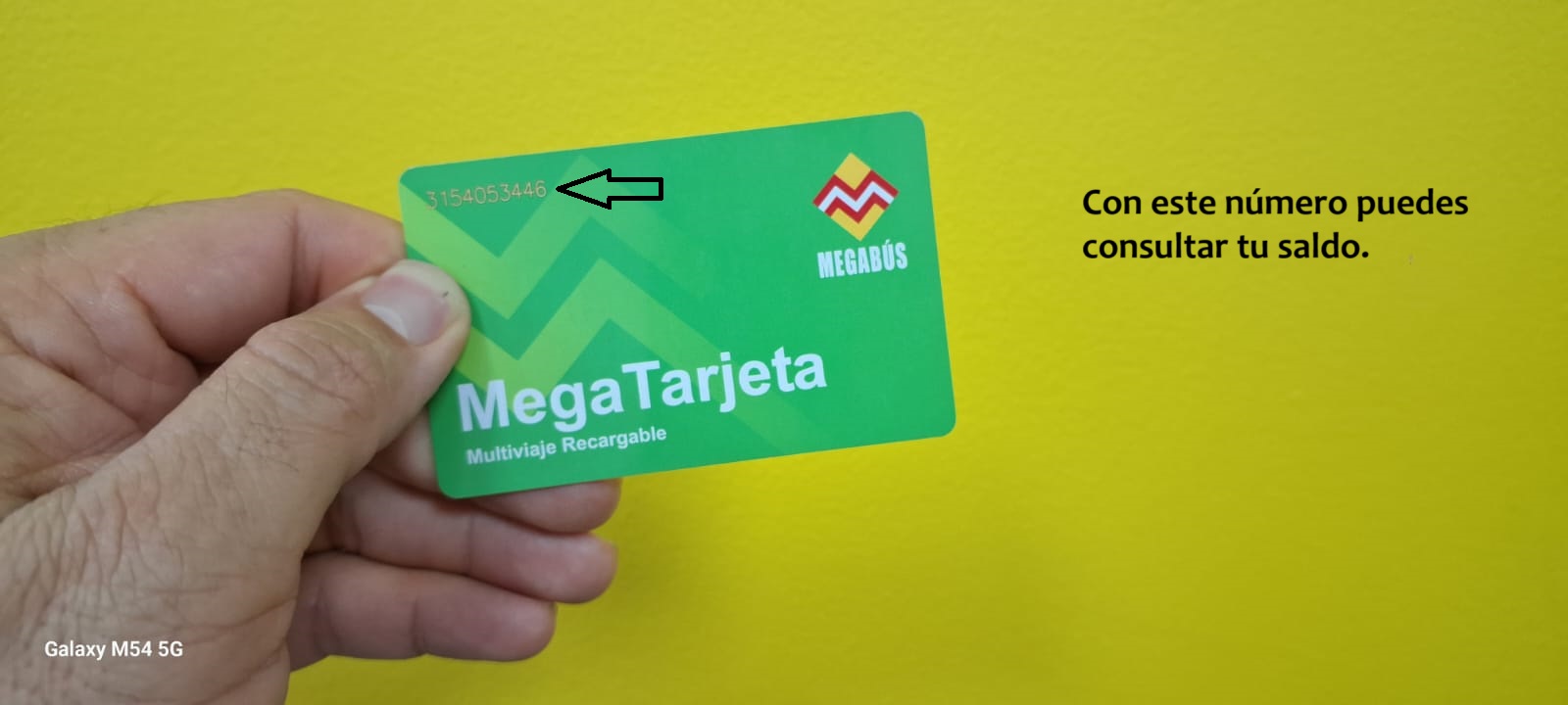 Descripción de la imagen